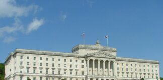 The upcoming DUP leadership elections – runners and riders