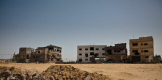 Israeli-Palestinian peace requires foreign powers to pull out of Gaza – Dan Mikhaylov