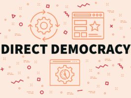 Direct democracy is the answer to this country’s problems – Oliver Bielski