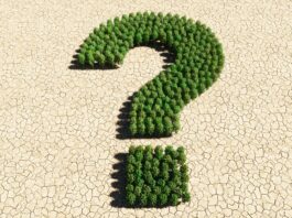 ‘The End Is Nigh’ – or have we heard it all before? – Nick Buckley MBE