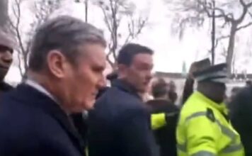 A plague o’ both your houses