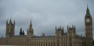 Bill to override Northern Ireland Protocol passes first Commons stage