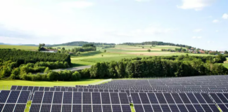 Full-Moon Briefing: Criticism of UK Net Zero policy / Starmer ‘prepared to be ruthless’ / PM critical of schools’ stance on gender identity