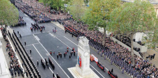 Palestine and poppies