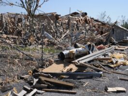 Only disaster can save us