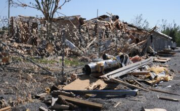 Only disaster can save us