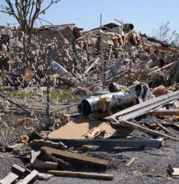 Only disaster can save us
