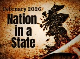 February 2026: Nation in a State